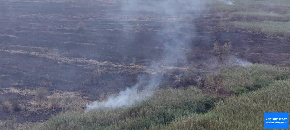 عملیات اطفاء حریق در تالاب انزلی با استفاده از هواپیمای ایلوشین