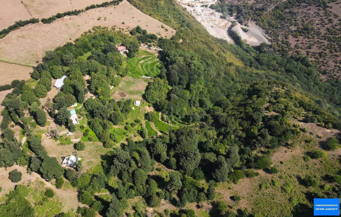 برگزاری جشن چهارمین سالروز ثبت جهانی جنگلهای هیرکانی