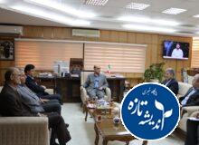 رونق زراعت چوب به توسعه اقتصادی گیلان کمک می‌کند