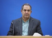 انهدام ریزپرنده های مهاجم در آسمان انزلی