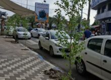 کاشت درختان جدید به‌جای درختان فرسوده در بلوار شهدا صومعه‌سرا