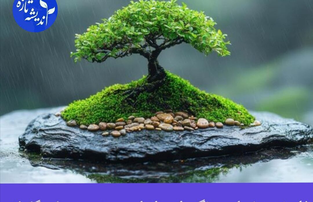 ” فلسفه بونسای و نگهداری از این درختچه های گلدانی”