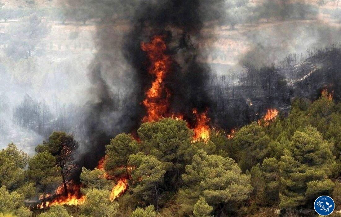 ضعف فرماندهی واحد، کمبود تجهیزات و نبود مدیریت پیشگیرانه آتش هیرکانی را گسترش داد