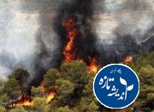 ضعف فرماندهی واحد، کمبود تجهیزات و نبود مدیریت پیشگیرانه آتش هیرکانی را گسترش داد