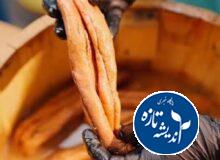 تعصب مردم گیلان بر اشپل ماهی سفید