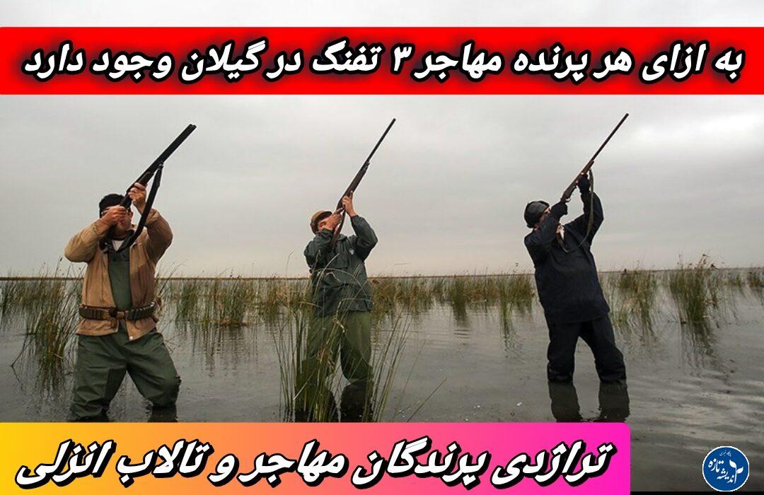 به ازای هر پرنده مهاجر ۳ تفنگ در گیلان وجود دارد