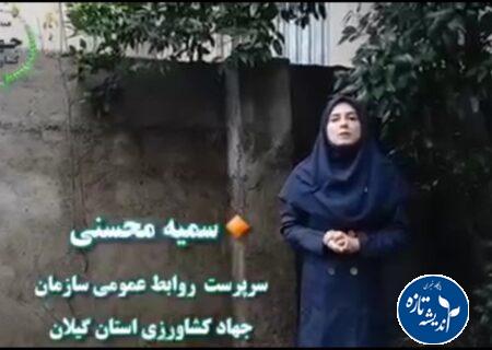 فرماندار انزلی نباید زحمت های پرسنل ما را نادیده می گرفت+فیلم