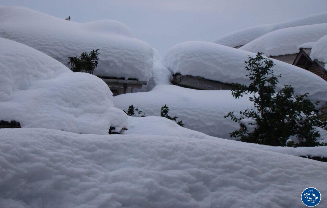 گیلان زیر بارش سنگین برف