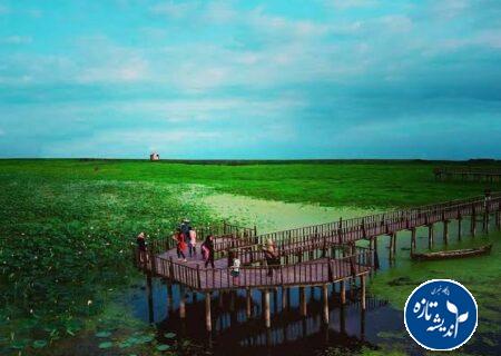 تالاب انزلی در میانه دو راهی نابودی و احیاء