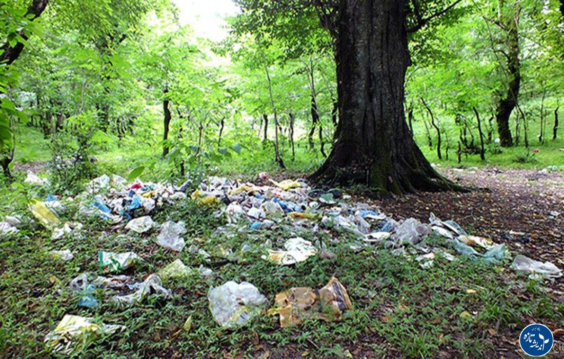 کار حیوان نیست، کار انسان است+فیلم