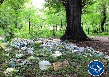 کار حیوان نیست، کار انسان است+فیلم