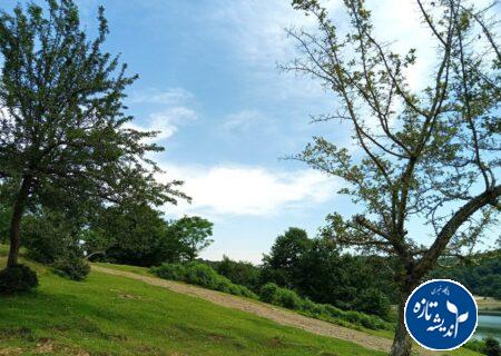 بهار و زمستان در پی هم؛ تداوم وزش باد گرم و پایداری هوای گیلان