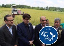 از جهش بهرهوری تا افقهای تازه در گردشگری و تجارت خارجی