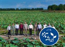تأکید بر تقویت حفاظت میدانی ، پایش تالاب و ارتقای امکانات محیطبانان