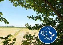 هوای گیلان گرمتر می شود