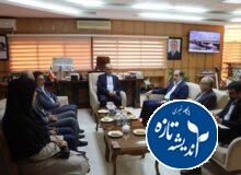 جشنواره‌های بومی؛ فرصتی برای بهتر شدن حال مردم