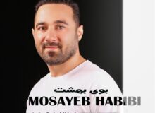 موسیقی محلی مهمترین عامل  علاقه من به موسیقی بود