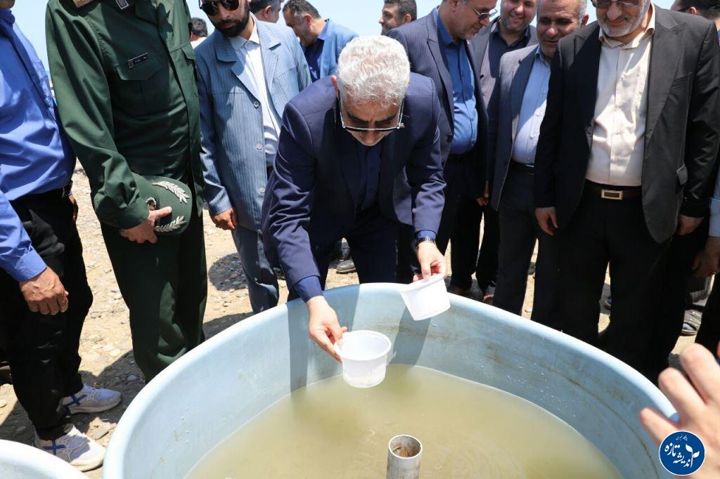 ۴۵۰ میلیون قطعه انواع بچه ماهی در پنج استان کشور رهاسازی شد