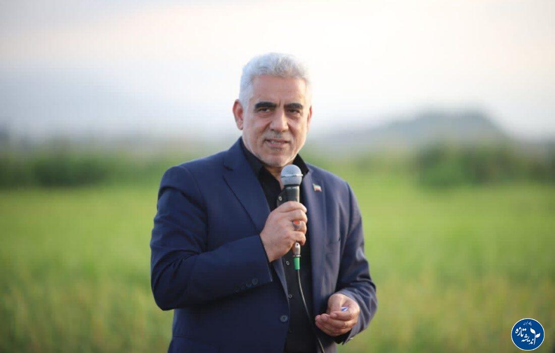 هیچگونه ثبت سفارش برنج در کشور انجام نشده است