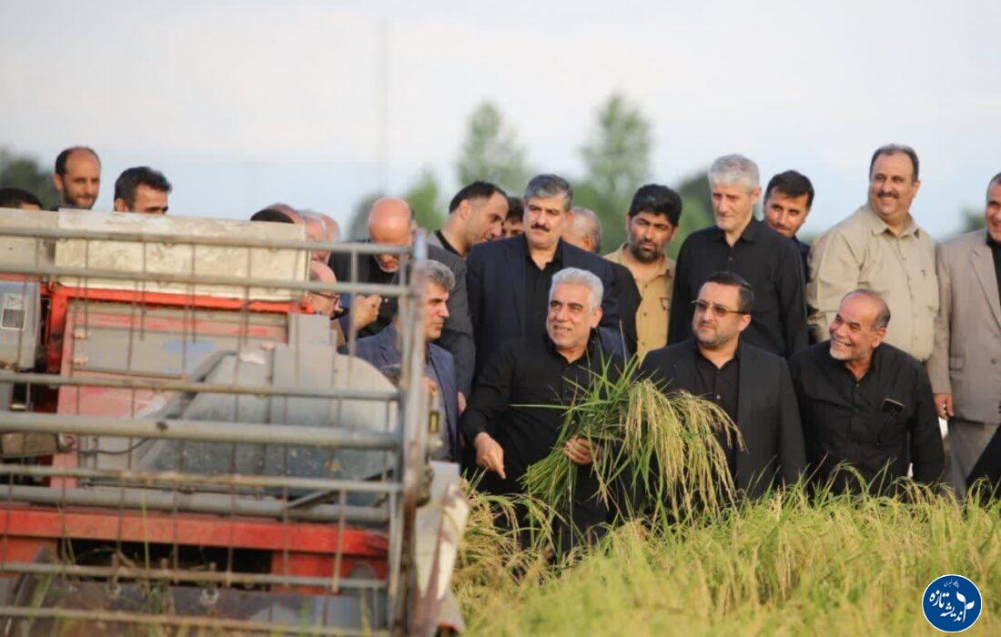 برداشت مکانیزه برنج کشور در گیلان آغاز شد