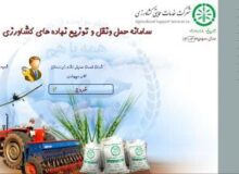 الکترونیکی شدن خدمات موجب جلوگیری از تخلف در توزیع کود یارانه ای شده است