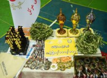 برگزاری رقابت های تیمی انجمن رقابتی ایران (icka) در رودبار