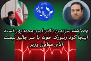 تاسف به حال معاون بهداشت، اینجا گود زنبورک خونه یا سر جالیز نیست آقای معاون وزیر