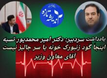 تاسف به حال معاون بهداشت، اینجا گود زنبورک خونه یا سر جالیز نیست آقای معاون وزیر
