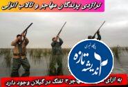 به ازای هر پرنده مهاجر ۳ تفنگ در گیلان وجود دارد