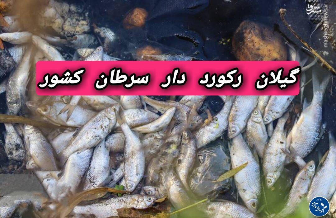 گیلان با ۱۷ هزار بیمار مبتلا به سرطان، رتبه اول در کشور