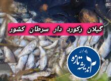 گیلان با ۱۷ هزار بیمار مبتلا به سرطان، رتبه اول در کشور