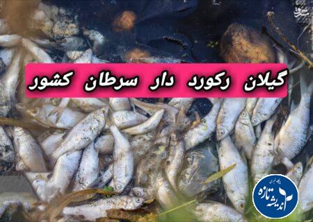 گیلان با ۱۷ هزار بیمار مبتلا به سرطان، رتبه اول در کشور