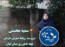 فرماندار انزلی نباید زحمت های پرسنل ما را نادیده می گرفت