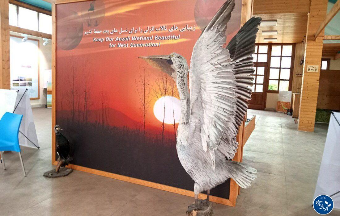 خانه محیط زیست _ بندرانزلی