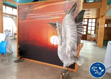 خانه محیط زیست _ بندرانزلی