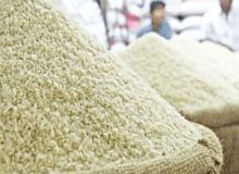 صعود برنج سقوط معیشت