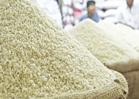 صعود برنج سقوط معیشت