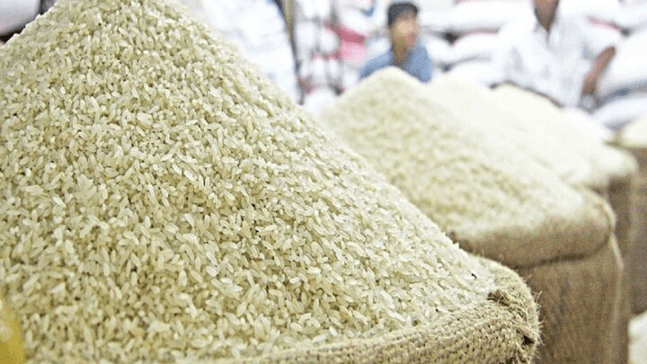 صعود برنج سقوط معیشت