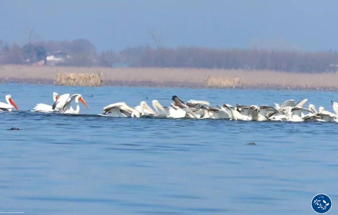 بوجاق جایی نزدیک آسمان