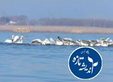 بوجاق جایی نزدیک آسمان