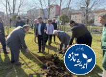 10 هزار اصله درخت بومی برای نخستین بار در سطح رشت غرس می شود