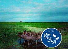 تالاب انزلی در میانه دو راهی نابودی و احیاء