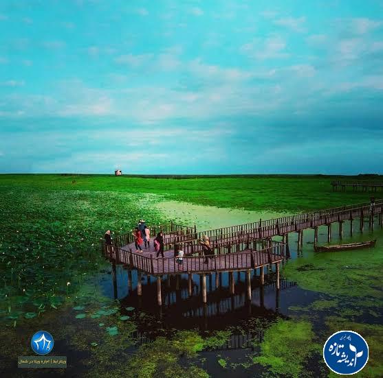 تالاب انزلی در میانه دو راهی نابودی و احیاء