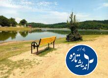 تابستان در دل زمستان ؛ گرمای بی سابقه در گیلان