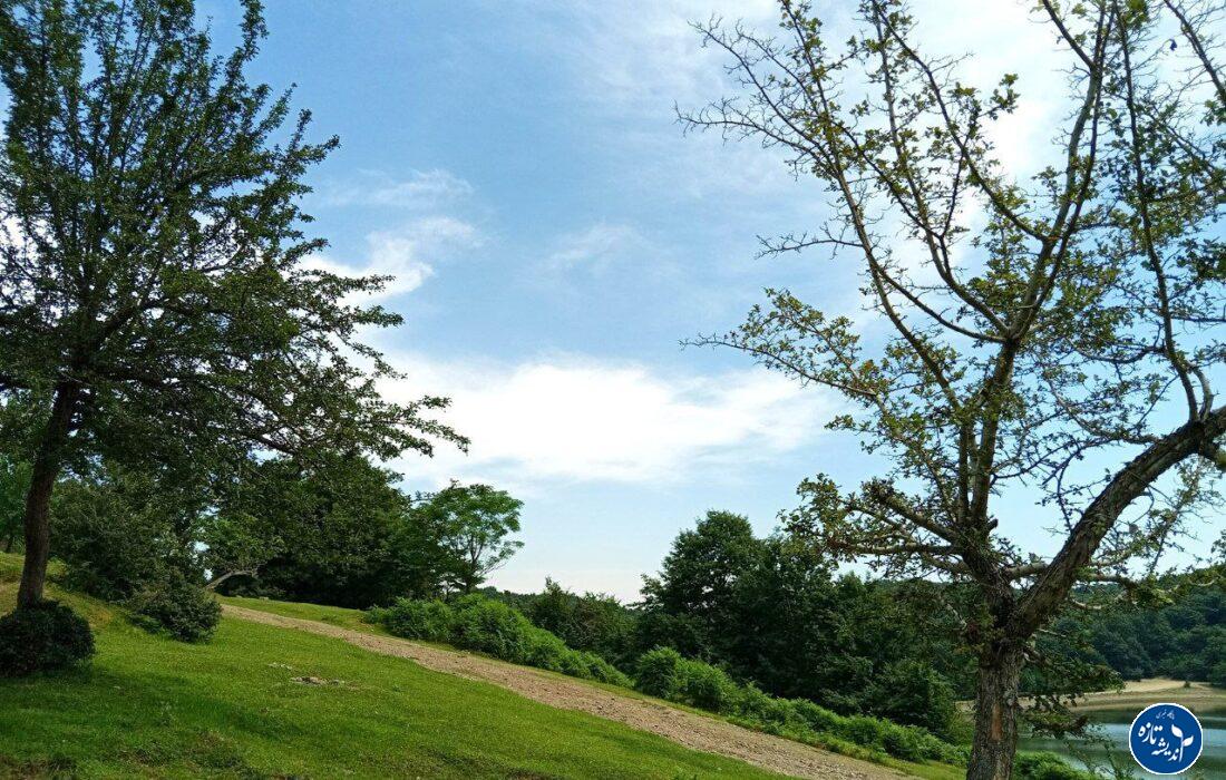 بهار و زمستان در پی هم؛ تداوم وزش باد گرم و پایداری هوای گیلان