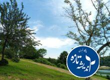 بهار و زمستان در پی هم؛ تداوم وزش باد گرم و پایداری هوای گیلان