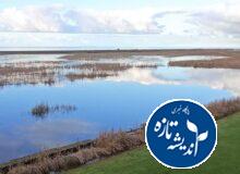 سرریز آب از دریچه تنظیمی و زمستان گذرانی ده‌ها هزار پرنده آبزی