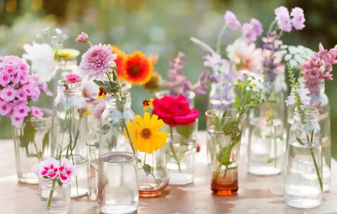 گل های بهاری باغچه ای و گلدانی را بشناسیم!
