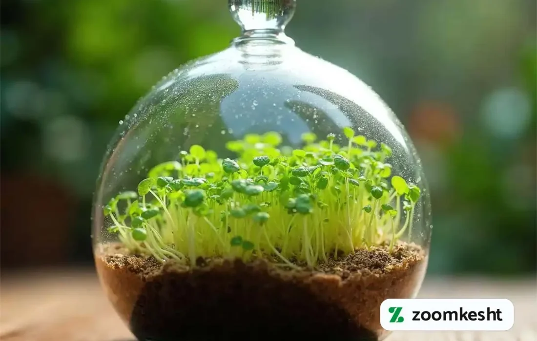 ایده هایی برای تزئین سبزه عید