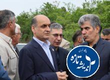 آغاز عملیات نشا مکانیزه برنج بر اساس تقویم زراعی در گیلان